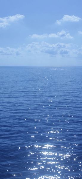 领导总是针对我怎么办全面解析：原因+方法+避坑指南