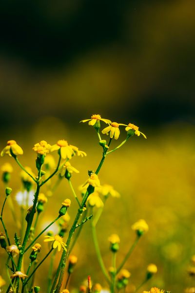 怎么控制自己的情绪？这篇文章帮你理清思路