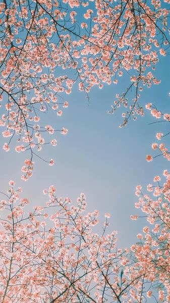 一位夫妻三观不合怎么磨合的读者来信，看哭了无数人