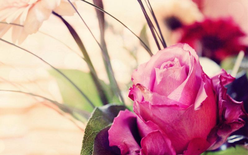 考公考研失败怎么调整心态？心理学教你正确应对