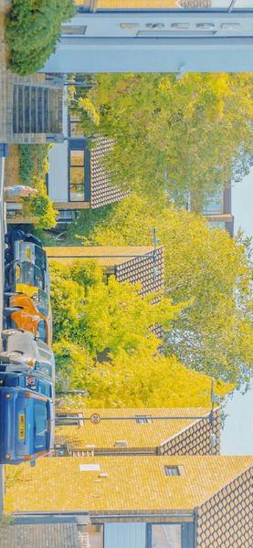 怎么让孩子主动学习背后的心理学原理，看完就明白了